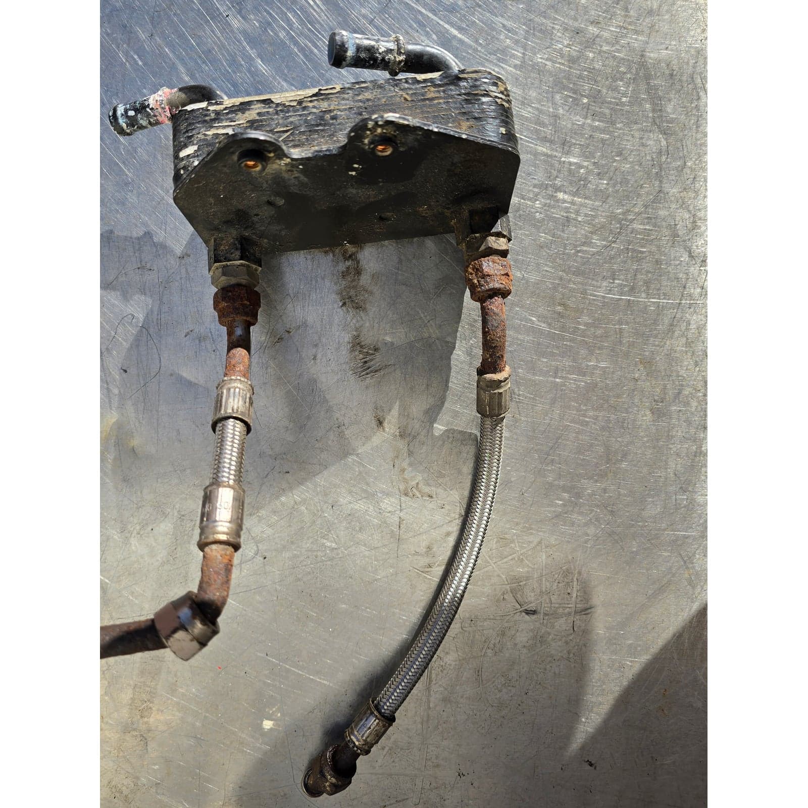 Overall view of the KTM genuine liquid-cooled engine oil cooler with braided lines.